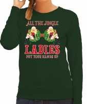 Groene kersttrui kerstkleding all the single ladies jingle ladies voor dames